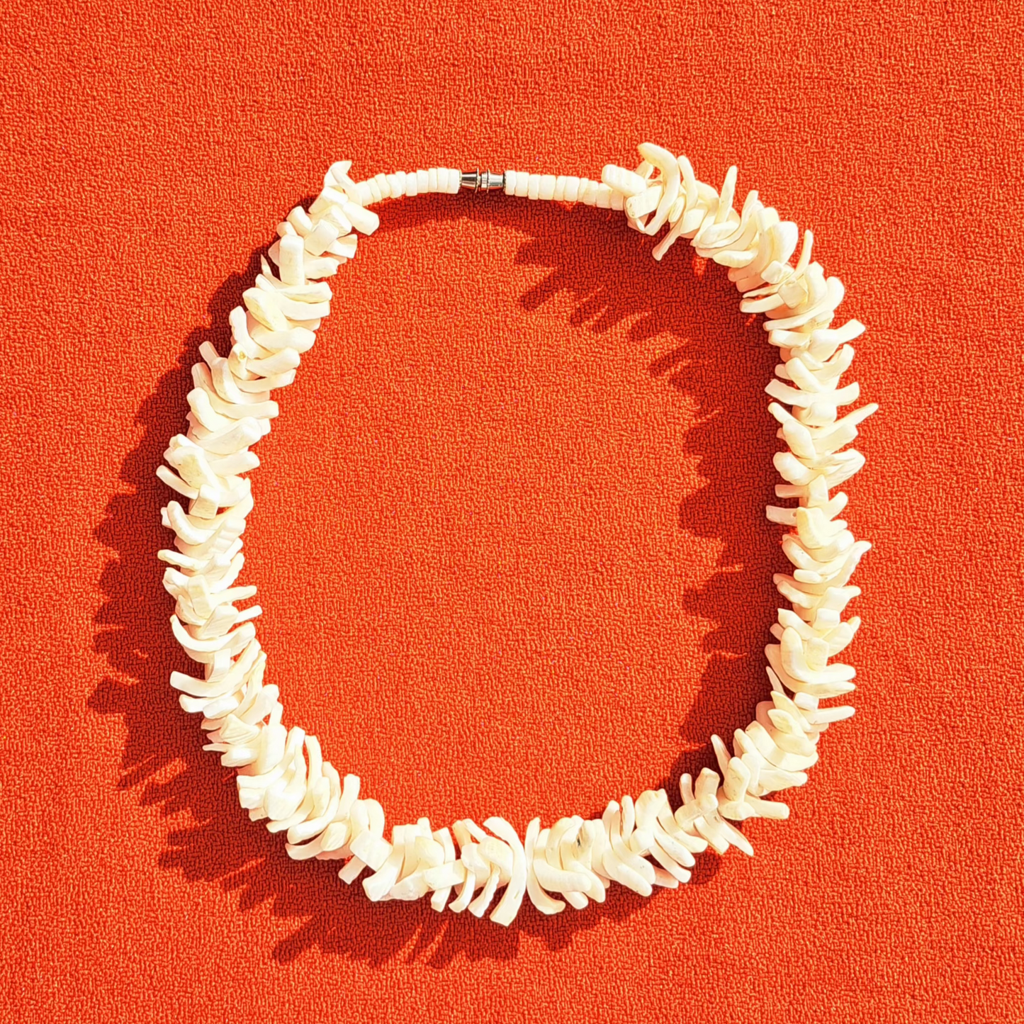 Ras-de-Cou "Puka" en Coquillages Naturels