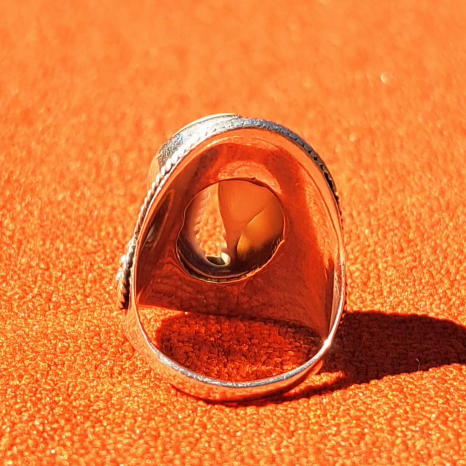 Bague en Argent Massif (925) avec Coquillage Cypraea